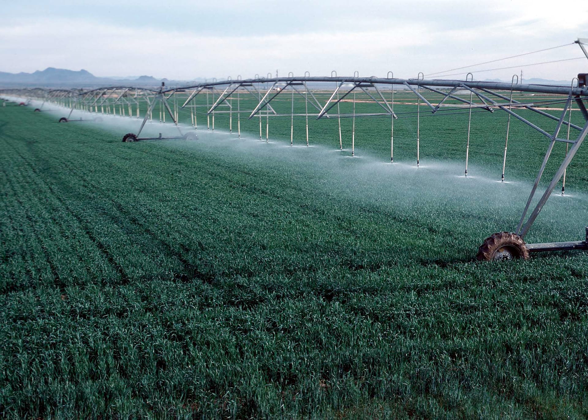 Affordable Professional Irrigation Services in Willow park , TX Near You