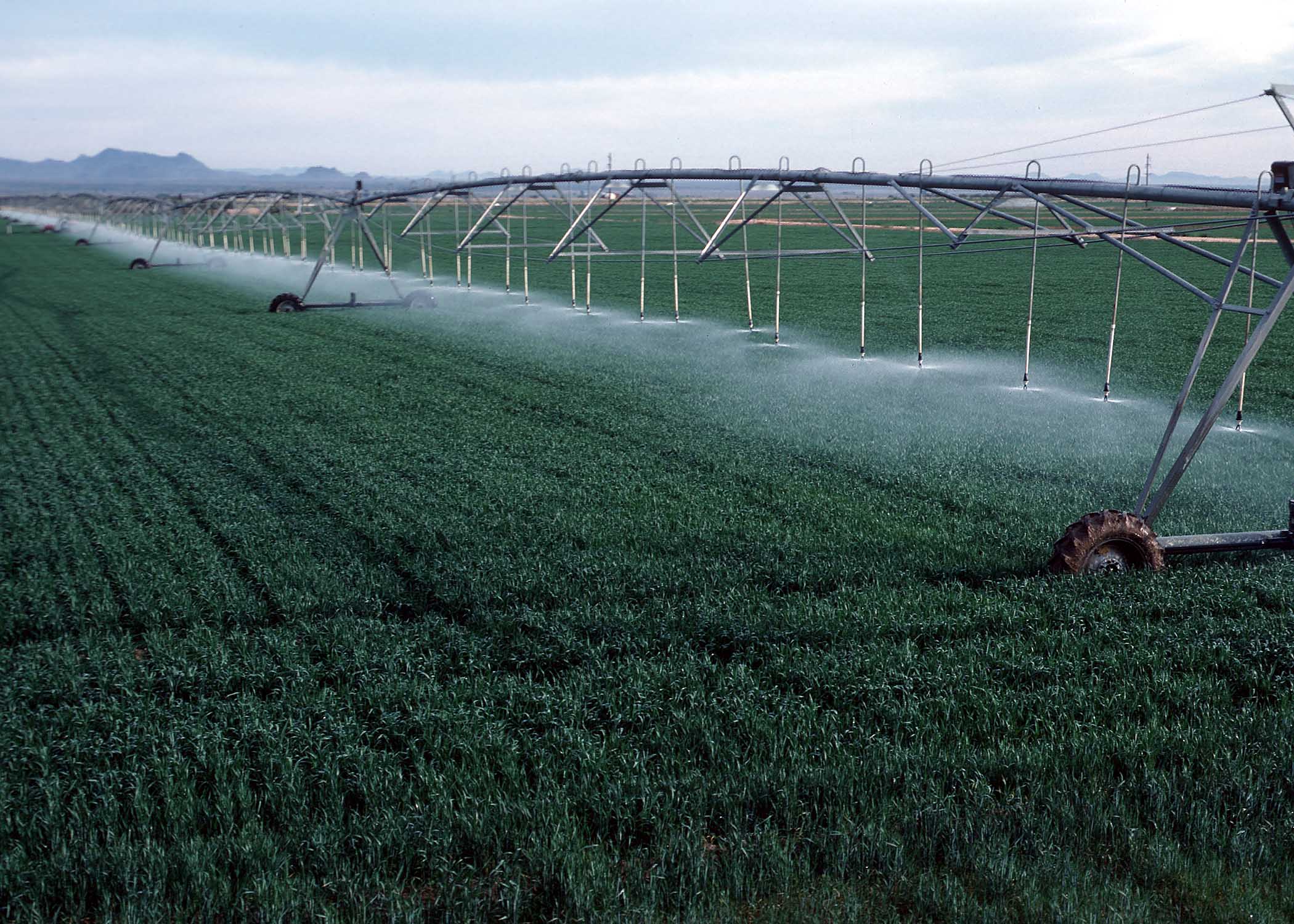 Affordable Professional Irrigation Services in Willow park , TX Near You